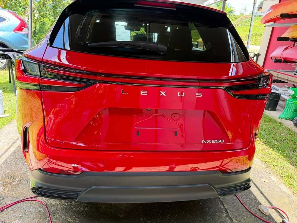 Lexus NX250 rojo, parte trasera con emblema